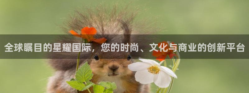 OB视讯app官网：全球瞩目的星耀国际，您的时尚、文化与商业的创新平台