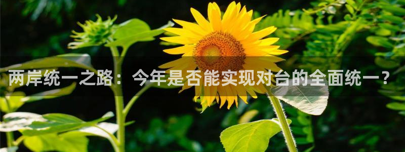 OB视讯下载地址：两岸统一之路：今年是否能实现对台的全面统一？