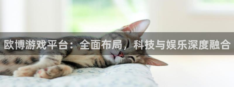 壹号电子娱乐app下载官网：欧博游戏平台：全面布局，科技与娱乐深度融合