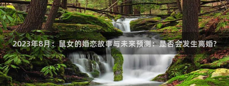 OB视讯：2023年8月：鼠女的婚恋故事与未来预测：是否会发生离婚?