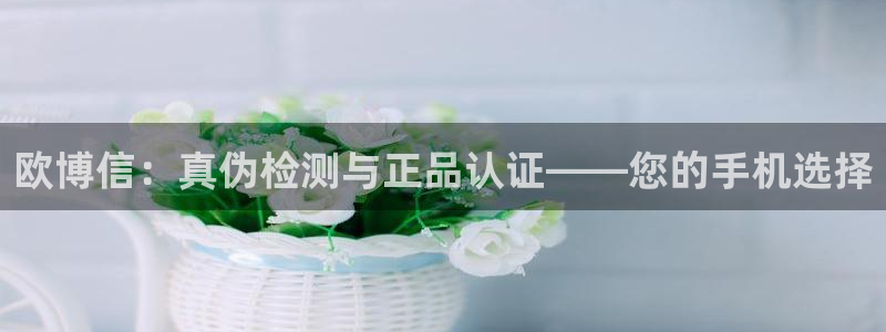 壹号大舞台28国际大舞台：欧博信：真伪检测与正品认证——您的手机选择