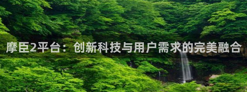OB视讯放水时间：摩臣2平台：创新科技与用户需求的完美融合