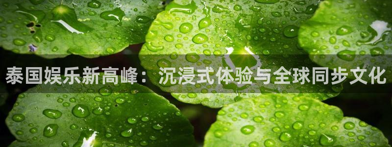 壹号大舞台官网入口：泰国娱乐新高峰：沉浸式体验与全球同步文化