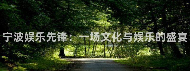 伟德国际集团 壹号(one game)：宁波娱乐先锋：一场文化与娱乐的盛宴