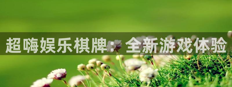 壹号app下载官方网站：超嗨娱乐棋牌：全新游戏体验