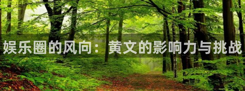 OB视讯官网版：娱乐圈的风向：黄文的影响力与挑战
