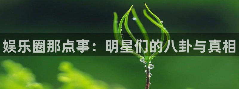 OB视讯下载入口：娱乐圈那点事：明星们的八卦与真相