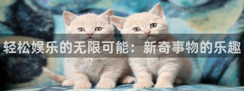 OB视讯app下载：轻松娱乐的无限可能：新奇事物的乐趣