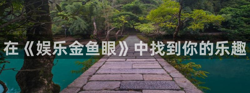 OB视讯游戏官网版：在《娱乐金鱼眼》中找到你的乐趣