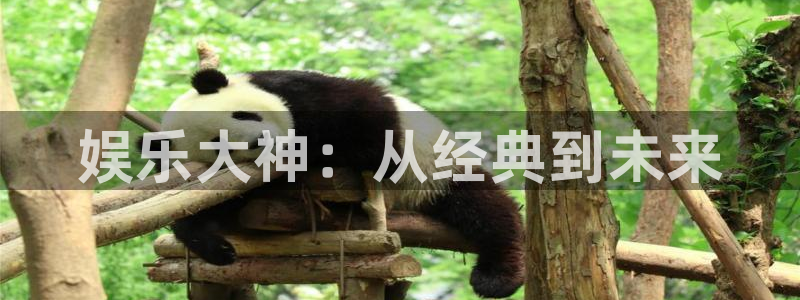 OB视讯网页版登：娱乐大神：从经典到未来