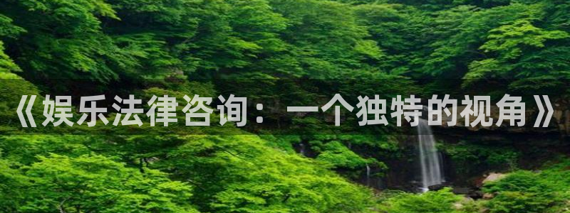 壹号大舞台网站：《娱乐法律咨询：一个独特的视角》
