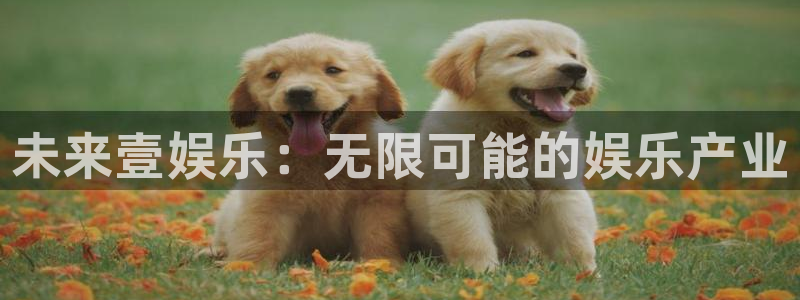 OB视讯吧：未来壹娱乐：无限可能的娱乐产业